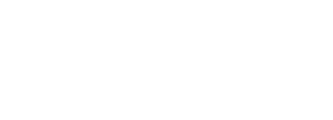 Mendes Holler